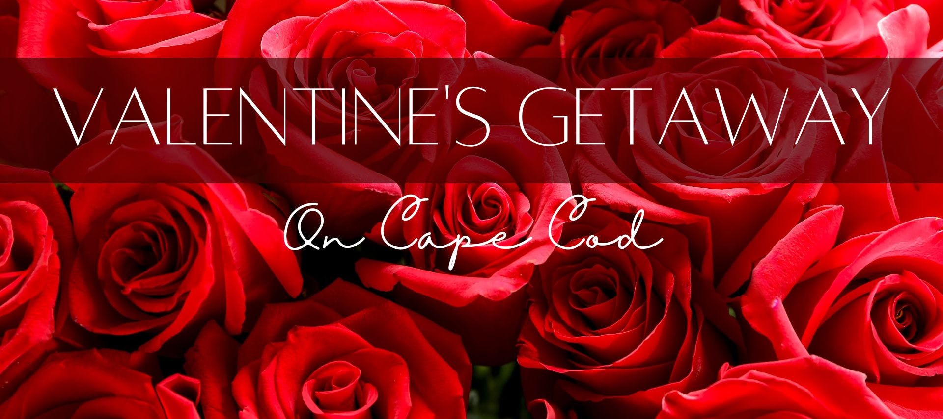 A bunch of red roses with Text Overlay "Valentines Getaway On Cape Cod".