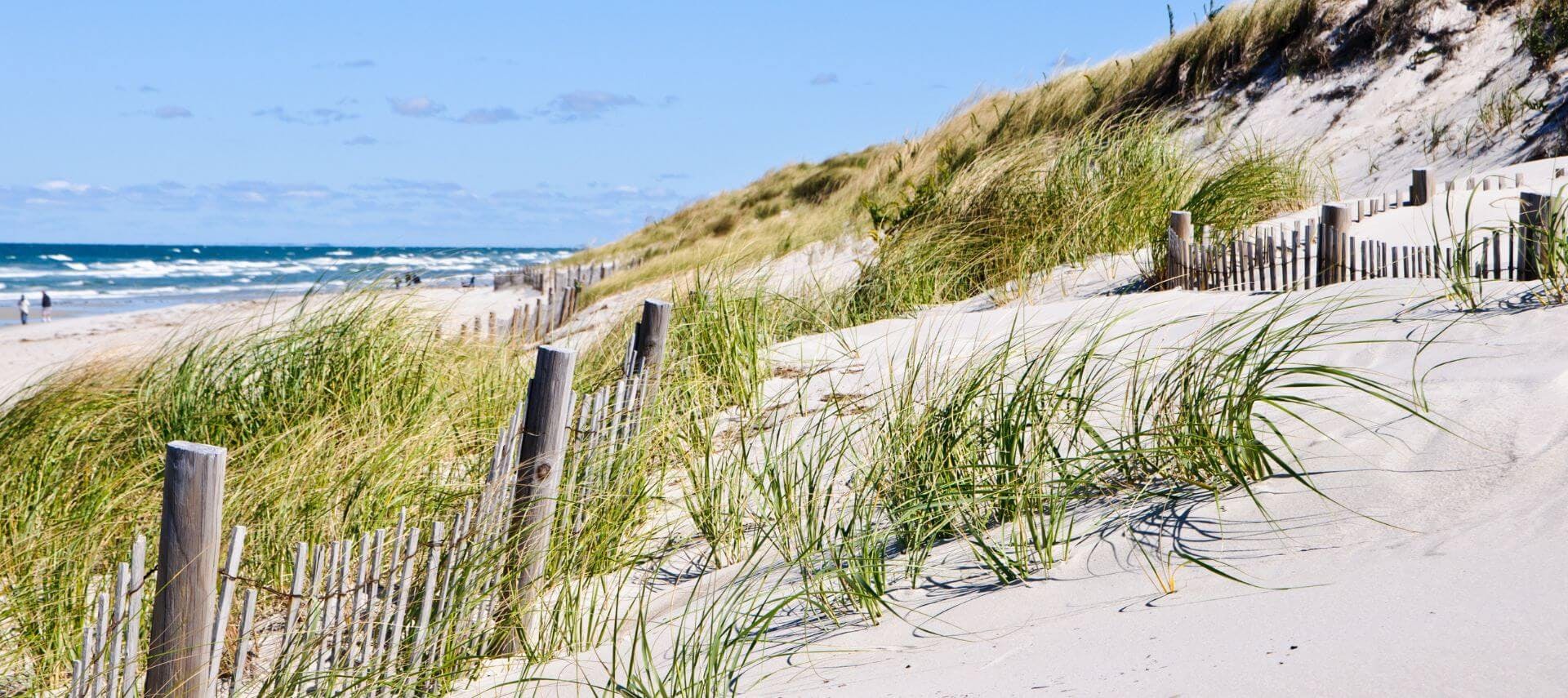 View of rippling ocean in distance with people walking along Cape Cod beach taken from the dunes .